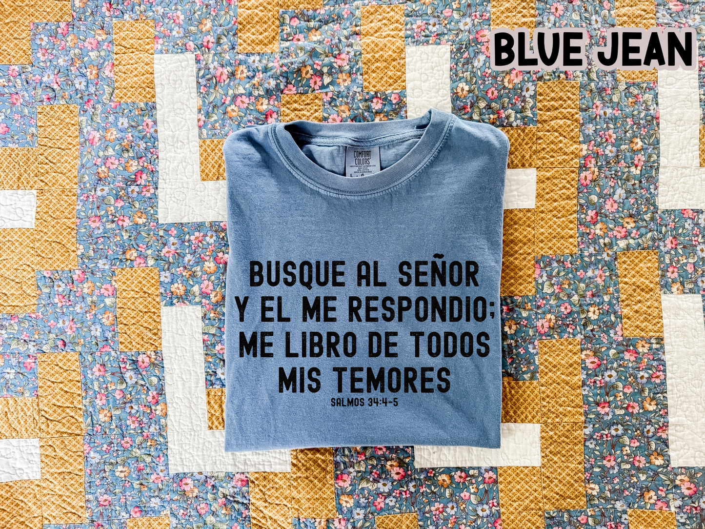 Busqué al Señor Shirt